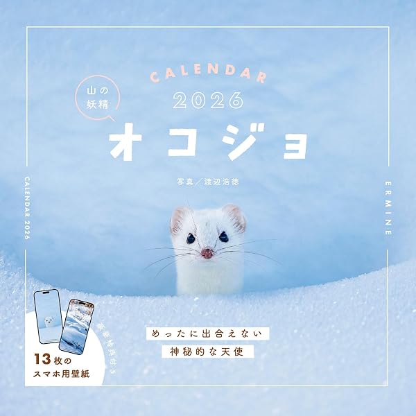 オコジョ: 白い谷の妖精 増田戻樹写真集 | 増田 戻樹 |本 | 通販 | Amazon